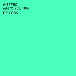 #48FFBC - De York Color Image